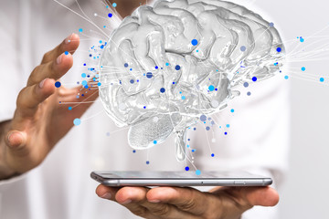 宠物培训学校前十