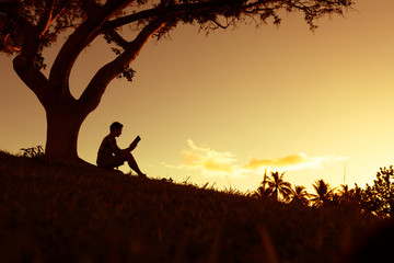 广东茶文化的饮茶习惯