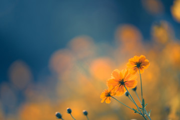 驾驶证扣留与吊销的区别