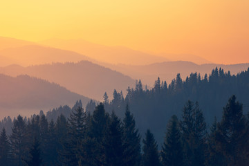 起飞前30分钟能登机吗