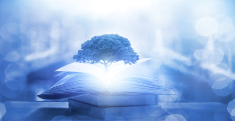 起飞前30分钟能登机吗