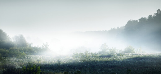 我国具有完全自主知识产权的汽车都有哪些品牌？