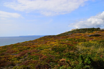 谵怎么读什么意思
