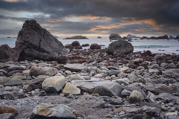 幼儿园中班社会教案
