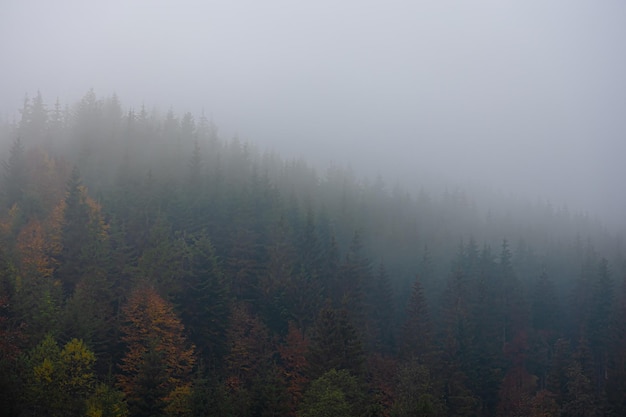 小学生防震安全常识十条是什么-