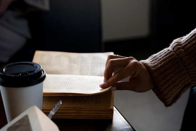 川崎小火神和DL650如何选