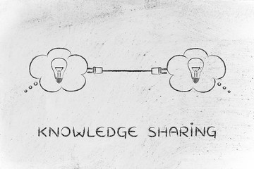 宠物培训学校前十